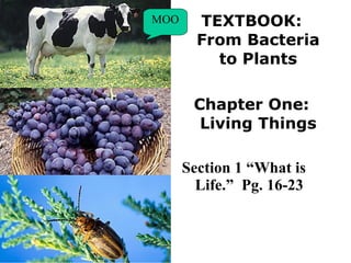 TEXTBOOK: From Bacteria to Plants Chapter One: Living Things Section 1 “What is Life.”  Pg. 16-23   MOO 
