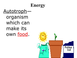 Energy Autotroph —organism which can make its own  food . 