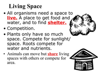 Living Space   All organisms need a space to  live.  A place to get food and water, and to find  shelter. Competition.  Plants only have so much space. Compete for sunlight/ space. Roots compete for water and nutrients. Animals can move but  share  living spaces with others or compete for area.   