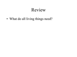 Review What do all living things need? 
