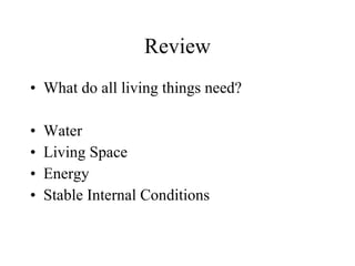 Review What do all living things need? Water Living Space Energy Stable Internal Conditions 