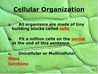 Cellular Organization a.          All organisms are made of tiny building blocks called  cells. b.         Fit a million cells on the  period  at the end of this sentence. c.         Unicellular or Multicellular Many functions 