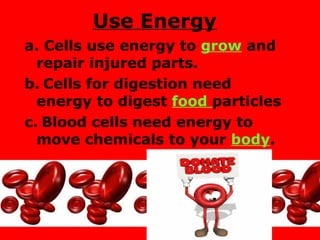 Use Energy a. Cells use energy to  grow  and repair injured parts. b.   Cells for digestion need energy to digest  food  particles c.   Blood cells need energy to move chemicals to your  body . 