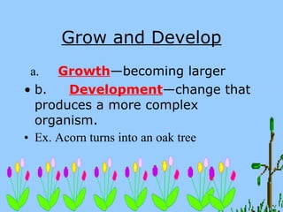 Grow and Develop a.       Growth —becoming larger b.         Development —change that produces a more complex organism. Ex. Acorn turns into an oak tree   