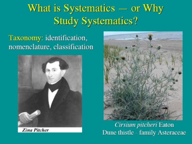 What is Systematics | PDF