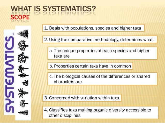 difference between systematics and new systematics