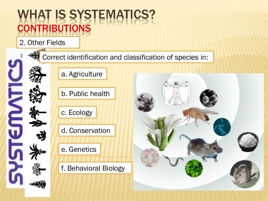 what is meant by systematics