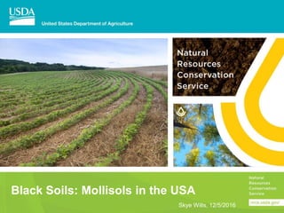 Black Soils: Mollisols in the USA
Skye Wills, 12/5/2016
 
