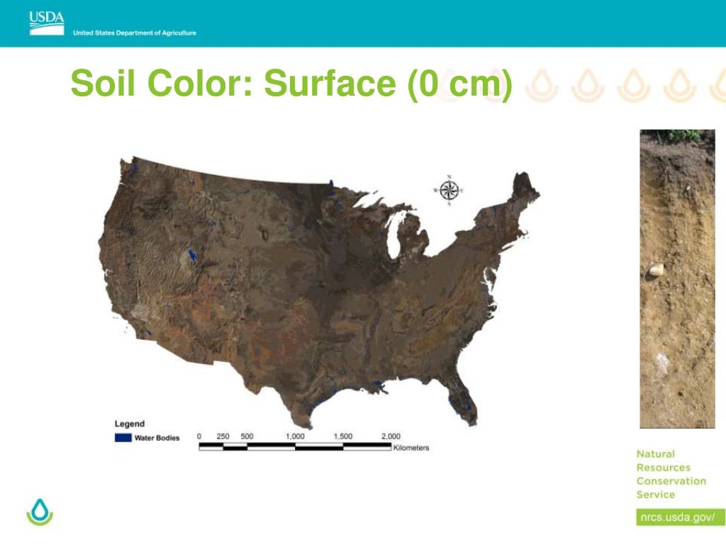 Black Soils Mollisols in the USA