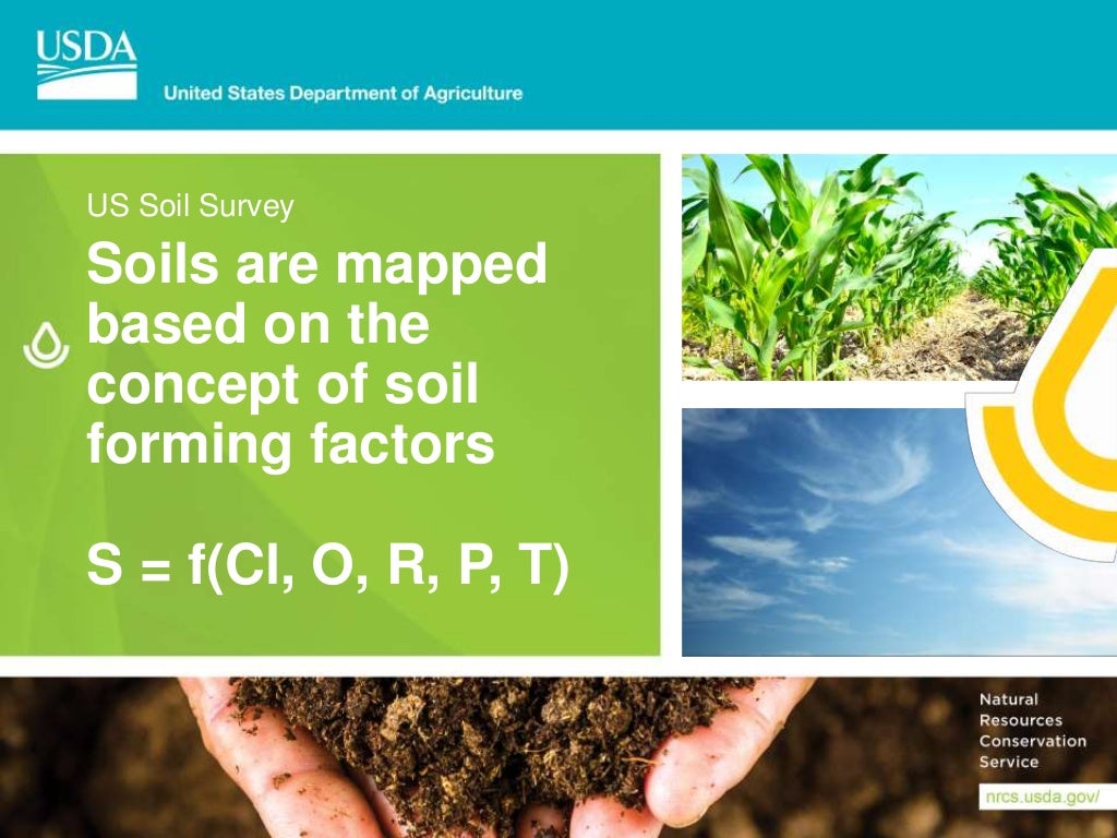 Black Soils Mollisols in the USA