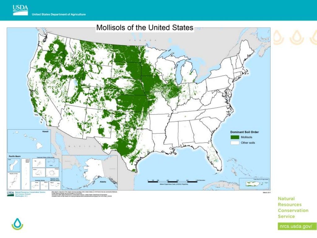 Black Soils Mollisols in the USA