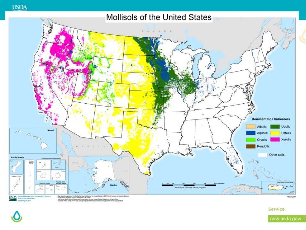 Black Soils Mollisols in the USA