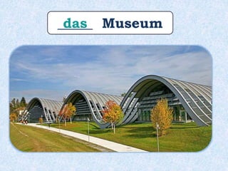 _____ Museumdas
 