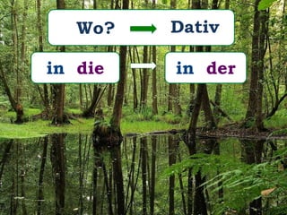 Wo?
in die
Dativ
in der
 