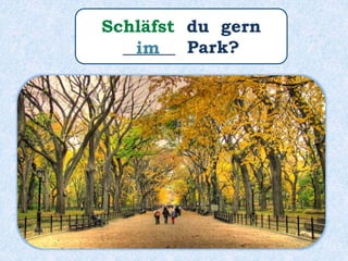 Schläfst du gern
______ Park?im
 