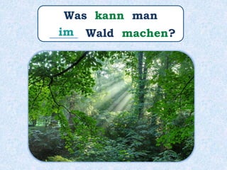 Was kann man
_____ Wald machen?im
 