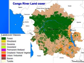 Congo River Land cover
 