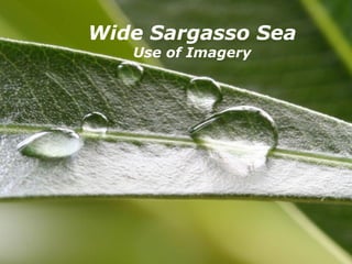 Wide Sargasso Sea
   Use of Imagery




   Powerpoint Templates   Page 1
 