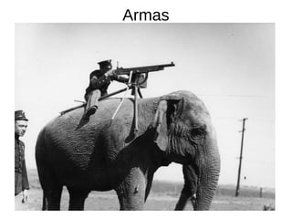 Armas
 