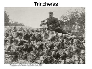 Trincheras
A rat catcher with his catch from the trenches, 1916
 