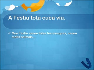 A l’estiu tota cuca viu.

 Que l’estiu venen totes les mosques, venen
 molts animals...
 