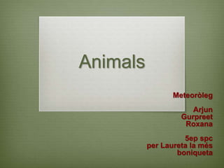 Animals
                 Meteoròleg
                      Arjun
                   Gurpreet
                    Roxana
                    5ep spc
          per Laureta la més
                  boniqueta
 