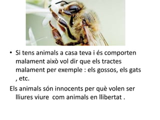 • Si tens animals a casa teva i és comporten
  malament això vol dir que els tractes
  malament per exemple : els gossos, els gats
  , etc.
Els animals són innocents per què volen ser
  lliures viure com animals en llibertat .
 