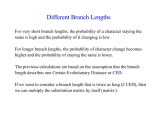 Different Branch Lengths
For very short branch lengths, the probability of a character staying the
same is high and the probability of it changing is low.
For longer branch lengths, the probability of character change becomes
higher and the probability of staying the same is lower.
The previous calculations are based on the assumption that the branch
length describes one Certain Evolutionary Distance or CED.
If we want to consider a branch length that is twice as long (2 CED), then
we can multiply the substitution matrix by itself (matrix2
).
 