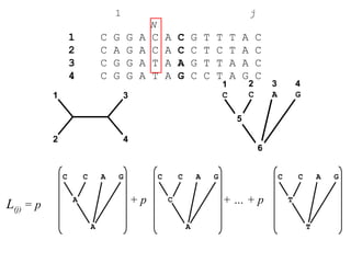 1 j
N
1 C G G A C A C G T T T A C
2 C A G A C A C C T C T A C
3 C G G A T A A G T T A A C
4 C G G A T A G C C T A G C
1
42
3
1
C
2
C
4
G
3
A
5
6
L(j) = p
C C A G
A
A
C C A G
C
A
C C A G
T
T
+ p + … + p
 