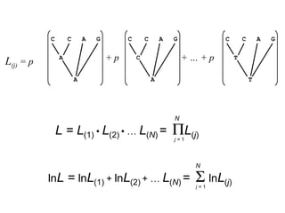 L(j) = p
C C A G
A
A
C C A G
C
A
C C A G
T
T
+ p + … + p
N
L = L(1) • L(2) • … L(N) = ΠL(j)j = 1
N
lnL = lnL(1) + lnL(2) + … L(N) = Σ lnL(j)j = 1
 