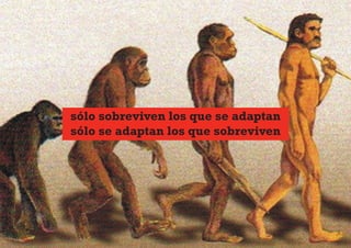 sólo sobreviven los que se adaptan
sólo se adaptan los que sobreviven
 
