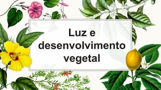 Luz e
desenvolvimento
vegetal