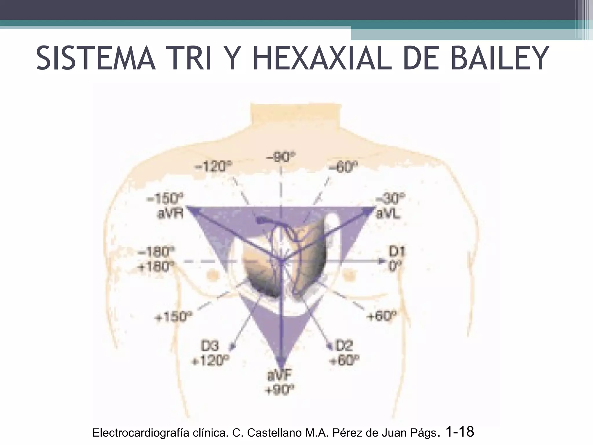 SISTEMA TRI Y HEXAXIAL DE BAILEY Electrocardiografía clínica. C. Castellano M.A. Pérez de Juan Págs . 1-18  