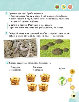 Проведи досліди. Зроби висновки.
• Кинь грудочку ґрунту у воду. З неї виходять бульбашки.
• Висій насіння в ґрунт, полий його. Спостерігай, коли воно
проросте і пустить корінчик.
І
У ґрунті є повітря. Рослинам є чим дихати.
Ґрунт так само важливий для росту рослин, як і вода.
Поміркуй, чому коли дощовий черв’як розпушує ґрунт — це
добре, а коли кріт робить нірки на полі — це погано.
Склади задачу за малюнком. Розв’яжи її.
Посадили
у вівторок
Посадили
в понеділок
Разом
107
 