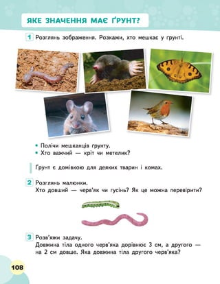 ЯКЕ ЗНАЧЕННЯ МАЄ ҐРУНТ?
Розглянь зображення. Розкажи, хто мешкає у ґрунті.
• Полічи мешканців ґрунту.
• Хто важчий — кріт чи метелик?
Ґрунт є домівкою для деяких тварин і комах.
2 Розглянь малюнки.
Хто довший — черв’як чи гусінь? Як це можна перевірити?
Розв’яжи задачу.
Довжина тіла одного черв’яка дорівнює 3 см, а другого —
на 2 см довше. Яка довжина тіла другого черв’яка?
 