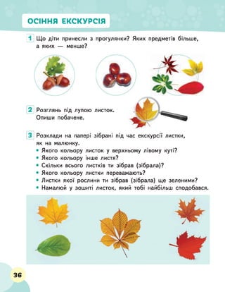 ОСІННЯ ЕКСКУРСІЯ
1 Що діти принесли з прогулянки? Яких предметів більше,
а яких — менше?
Розглянь під лупою
Опиши побачене.
листок.
Розклади на папері зібрані під час екскурсії листки,
як на малюнку.
• Якого кольору листок у верхньому лівому куті?
• Якого кольору інше листя?
• Скільки всього листків ти зібрав (зібрала)?
• Якого кольору листки переважають?
• Листки якої рослини ти зібрав (зібрала) ще зеленими?
• Намалюй у зошиті листок, який тобі найбільш сподобався.
36
 
