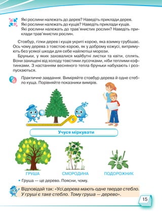 15
Які рослини належать до дерев? Наведіть приклади дерев.
Які рослини належать до кущів? Наведіть приклади кущів.
Які рослини належать до трав’янистих рослин? Наведіть при-
клади трав’янистих рослин.
Стовбур, гілки дерев і кущів укриті корою, яка взимку грубішає.
Ось чому дерева з товстою корою, як у доброму кожусі, витриму-
ють без усякої шкоди для себе найлютіші морози.
Бруньки, у яких заховалися майбутні листки та квіти, сплять.
Вони захищені від холоду товстими лусочками, ніби теплими коф-
тинками. З настанням весняного тепла бруньки набухають і роз-
пускаються.
1 2 3 4 5 6 7 8 9 10 11 12 13 14 15 16 17 18 19 20 21 22 23
24
25
26
27
28
29
30
31
Практичне завдання. Виміряйте стовбур дерева й одне стеб­
ло куща. Порівняйте показники вимірів.
Учуся міркувати
• Груша — це дерево. Поясни, чому.
Груша Смородина Подорожник
Відповідай так: «Усі дерева мають одне тверде стебло.
У груші є таке стебло. Тому груша — дерево».
Право для безоплатного розміщення підручника в мережі Інтернет має
Міністерство освіти і науки України http://mon.gov.ua/ та Інститут модернізації змісту освіти https://imzo.gov.ua
 