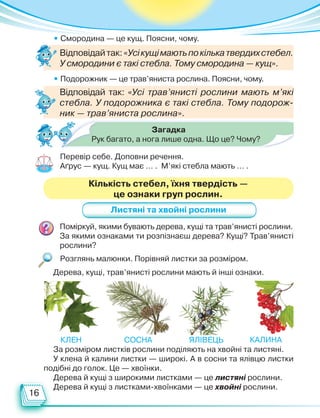 16
Загадка
Рук багато, а нога лише одна. Що це? Чому?
Перевір себе. Доповни речення.
Аґрус — кущ. Кущ має … . М’які стебла мають … .
Кількість стебел, їхня твердість —
це ознаки груп рослин.
Листяні та хвойні рослини
Поміркуй, якими бувають дерева, кущі та трав’янисті рослини.
За якими ознаками ти розпізнаєш дерева? Кущі? Трав’янисті
рослини?
Розглянь малюнки. Порівняй листки за розміром.
Дерева, кущі, трав’янисті рослини мають й інші ознаки.
За розміром листків рослини поділяють на хвойні та листяні.
У клена й калини листки — широкі. А в сосни та ялівцю листки
подібні до голок. Це — хвоїнки.
Дерева й кущі з широкими листками — це листяні рослини.
Дерева й кущі з листками-хвоїнками — це хвойні рослини.
• Смородина — це кущ. Поясни, чому.
• Подорожник — це трав’яниста рослина. Поясни, чому.
Відповідайтак:«Усікущімаютьпокількатвердихстебел.
У смородини є такі стебла. Тому смородина — кущ».
Відповідай так: «Усі трав’янисті рослини мають м’які
стебла. У подорожника є такі стебла. Тому подорож-
ник — трав’яниста рослина».
клен сосна ялівець калина
Право для безоплатного розміщення підручника в мережі Інтернет має
Міністерство освіти і науки України http://mon.gov.ua/ та Інститут модернізації змісту освіти https://imzo.gov.ua
 