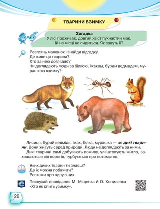 26
Загадка
У лісі проживає, довгий хвіст пухнастий має.
Їй на місці не сидиться. Як зовуть її?
Розглянь малюнок і знайди відгадку.
Де живе ця тварина?
Хто за нею доглядає?
Чи доглядають люди за білкою, їжаком, бурим ведмедем, му-
рашкою взимку?
Лисиця, бурий ведмідь, їжак, білка, мурашка — це дикі твари-
ни. Вони живуть серед природи. Люди не доглядають за ними.
Дикі тварини самі добувають поживу, улаштовують житло, за-
хищаються від ворогів, турбуються про потомство.
Яких диких тварин ти знаєш?
Де їх можна побачити?
Розкажи про одну з них.
Послухай оповідання М. Міщенка й О. Копиленка
«Хто як спить узимку».
ТВАРИНИ ВЗИМКУ
Право для безоплатного розміщення підручника в мережі Інтернет має
Міністерство освіти і науки України http://mon.gov.ua/ та Інститут модернізації змісту освіти https://imzo.gov.ua
 