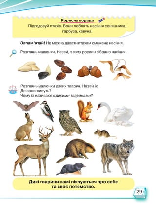 29
Дикі тварини самі піклуються про себе
та своє потомство.
Корисна порада
Підгодовуй птахів. Вони люблять насіння соняшника,
гарбуза, кавуна.
Запам’ятай! Не можна давати птахам смажене насіння.
Розглянь малюнки. Назви, з яких рослин зібрано насіння.
Розглянь малюнки диких тварин. Назви їх.
Де вони живуть?
Чому їх називають дикими тваринами?
Право для безоплатного розміщення підручника в мережі Інтернет має
Міністерство освіти і науки України http://mon.gov.ua/ та Інститут модернізації змісту освіти https://imzo.gov.ua
 