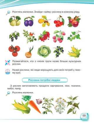 59
Розглянь малюнки. Знайди «зайву» рослину в кожному ряду.
помідор
Назви рослини, які люди вирощують для своїх потреб у твоє-
му краї.
Позмагайтеся, хто з членів групи назве більше культурних
рослин.
Розглянь малюнки.
Рослини потрібні людям
З рослин виготовляють продукти харчування, ліки, тканини,
меблі, папір.
Право для безоплатного розміщення підручника в мережі Інтернет має
Міністерство освіти і науки України http://mon.gov.ua/ та Інститут модернізації змісту освіти https://imzo.gov.ua
 