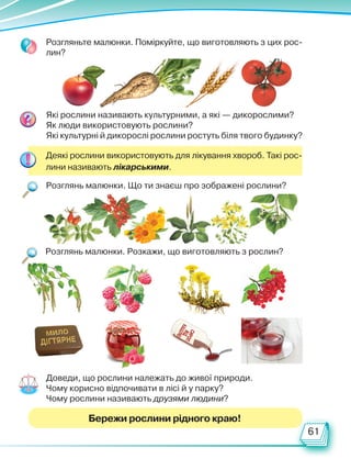 61
Розгляньте малюнки. Поміркуйте, що виготовляють з цих рос-
лин?
Які рослини називають культурними, а які — дикорослими?
Як люди використовують рослини?
Які культурні й дикорослі рослини ростуть біля твого будинку?
Деякі рослини використовують для лікування хвороб. Такі рос-
лини називають лікарськими.
Розглянь малюнки. Що ти знаєш про зображені рослини?
Бережи рослини рідного краю!
Розглянь малюнки. Розкажи, що виготовляють з рослин?
Доведи, що рослини належать до живої природи.
Чому корисно відпочивати в лісі й у парку?
Чому рослини називають друзями людини?
Право для безоплатного розміщення підручника в мережі Інтернет має
Міністерство освіти і науки України http://mon.gov.ua/ та Інститут модернізації змісту освіти https://imzo.gov.ua
 