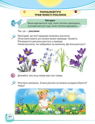 64
Ранньоквітучі
трав’янисті рослини
Так, це — рослини.
Загадка
Вони вдягаються тоді, коли теплінь приходить,
а роздягаються тоді, коли теплінь відходить.
Пригадай, до якої природи належать рослини.
Отож вони мають усі ознаки живої природи. Назви їх.
Різноманітні рослини ростуть у природі.
Назви рослини, які зображені на малюнку. Де вони ростуть?
Дізнайся, яку іншу назву має сон-трава.
Розглянь малюнок. З яких рослин не можна складати букети?
Чому?
Право для безоплатного розміщення підручника в мережі Інтернет має
Міністерство освіти і науки України http://mon.gov.ua/ та Інститут модернізації змісту освіти https://imzo.gov.ua
 