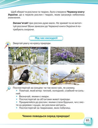 65
Під час екскурсії
Звертай увагу на красу природи.
Поспостерігай за сонцем: чи так воно гріє, як узимку.
• Помічай, який вітер: теплий, холодний, слабкий чи силь-
ний.
• Визначай, якими є хмари.
• Поспостерігай за об’єктами живої природи.
• Придивляйся до рослин: якими стали бруньки, чи є лис-
тя на деревах і кущах, які рослини квітують.
• Поспостерігай за тваринами, яких побачиш.
Щоб зберегти рослини та тварин, було створено Червону книгу
України, де є перелік рослин і тварин, яким загрожує небезпека
зникнення.
Запам’ятай! Цих рослин дуже мало. Не зривай та не витоп-
туй рослини! Вони занесені до Червоної книги України й по-
требують охорони.
Чемно поводься серед природи!
Право для безоплатного розміщення підручника в мережі Інтернет має
Міністерство освіти і науки України http://mon.gov.ua/ та Інститут модернізації змісту освіти https://imzo.gov.ua
 