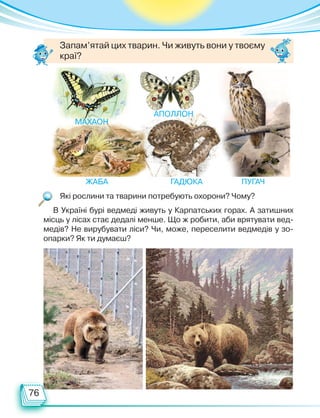 76
В Україні бурі ведмеді живуть у Карпатських горах. А затишних
місць у лісах стає дедалі менше. Що ж робити, аби врятувати вед-
медів? Не вирубувати ліси? Чи, може, переселити ведмедів у зо-
опарки? Як ти думаєш?
Які рослини та тварини потребують охорони? Чому?
Запам’ятай цих тварин. Чи живуть вони у твоєму
краї?
Махаон
Аполлон
жаба Гадюка Пугач
Право для безоплатного розміщення підручника в мережі Інтернет має
Міністерство освіти і науки України http://mon.gov.ua/ та Інститут модернізації змісту освіти https://imzo.gov.ua
 