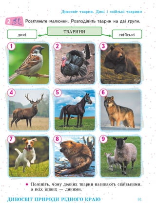 Право для безоплатного розміщення підручника в мережі Інтернет має
Міністерство освіти і науки України http://mon.gov.ua/ та Інститут модернізації змісту освіти https://imzo.gov.ua
 