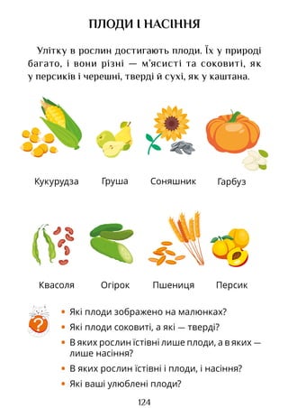 124
Кукурудза Груша Соняшник Гарбуз
Квасоля Огірок Пшениця Персик
ПЛОДИ І НАСІННЯ
Улітку в рослин достигають плоди. Їх у природі
багато, і вони різні — м’ясисті та соковиті, як
у персиків і черешні, тверді й сухі, як у каштана.
?
• Які плоди зображено на малюнках?
• Які плоди соковиті, а які — тверді?
• В яких рослин їстівні лише плоди, а в яких —
лише насіння?
• В яких рослин їстівні і плоди, і насіння?
• Які ваші улюблені плоди?
Право для безоплатного розміщення підручника в мережі Інтернет має
Міністерство освіти і науки України http://mon.gov.ua/ та Інститут модернізації змісту освіти https://imzo.gov.ua
 