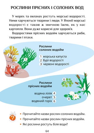 64
РОСЛИНИ ПРІСНИХ І СОЛОНИХ ВОД
У морях та океанах ростуть морські водорості.
Ними харчуються тварини і люди. У Японії морські
водорості є такою ж звичною їжею, як у нас
картопля. Вони дуже корисні для здоров’я.
Водоростями прісних водойм харчуються риби,
тварини і птахи.
• Прочитайте назви рослин солоних водойм.
• Прочитайте назви рослин прісних водойм.
• Які рослини ростуть біля води?
?
морська капуста
бурі водорості
червоні водорості
водяна лілія
очерет
водяний горіх
Рослини
прісних водойм
Рослини
солоних водойм
1
1 2
2
3
3
4
4
5
5
6
6
Право для безоплатного розміщення підручника в мережі Інтернет має
Міністерство освіти і науки України http://mon.gov.ua/ та Інститут модернізації змісту освіти https://imzo.gov.ua
 