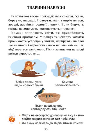 73
Бабак прокинувся
від зимової сплячки
ТВАРИНИ НАВЕСНІ
Із початком весни прокидаються комахи, їжаки,
борсуки, ведмеді. Повертаються з вирію шпаки,
зозулі, ластівки, солов’ї, лелеки. Вони будують
гнізда, висиджують і вигодовують пташенят.
Комахи запилюють квіти, які приваблюють
їх своїм ароматом. У пошуках нектару комахи
проникають усередину квітки, набирають на свої
лапки пилок і переносять його на інші квітки. Так
відбувається запилення. Після запилення на місці
квітки виростає плід.
?
• Підіть на екскурсію до парку чи лісу і нама-
люйте тварин, яких ви там побачили.
• Які з них належать до звірів, птахів, комах?
Птахи висиджують
і вигодовують пташенят
Комахи
запилюють квіти
Право для безоплатного розміщення підручника в мережі Інтернет має
Міністерство освіти і науки України http://mon.gov.ua/ та Інститут модернізації змісту освіти https://imzo.gov.ua
 