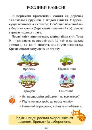 74
Рідкісні види рослин охороняються
законом. Зривати їх заборонено.
РОСЛИНИ НАВЕСНІ
Із першими променями сонця на деревах
з’являються бруньки, а згодом і листя. У дерев і
кущів починається сокорух. Особливо помітний він
у беріз та кленів (березовий і кленовий сік). Землю
вкриває молода трава.
Перші квіти з’являються, щойно зійде сніг. Тому
їх і називають першоцвітами. Ці квіти не можна
зривати, бо вони можуть зникнути назавжди.
Краще сфотографуйте їх на згадку.
• Які першоцвіти зображені на малюнках?
• Підіть на екскурсію до парку чи лісу.
• Намалюйте рослини, які ви там побачили.
?
Проліски Підсніжники
Сон-трава
Крокуси
Право для безоплатного розміщення підручника в мережі Інтернет має
Міністерство освіти і науки України http://mon.gov.ua/ та Інститут модернізації змісту освіти https://imzo.gov.ua
 